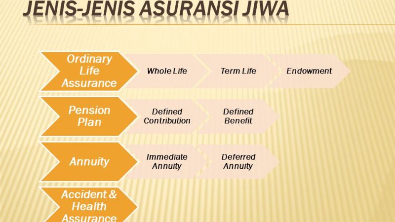 Jenis-jenis Asuransi Jiwa yang Perlu Anda Diketahui